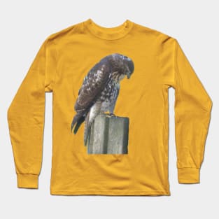 Falcon on Post Long Sleeve T-Shirt